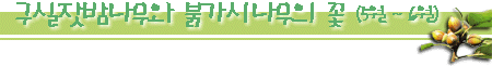 㳪 Ӱó  (5 ~ 6)